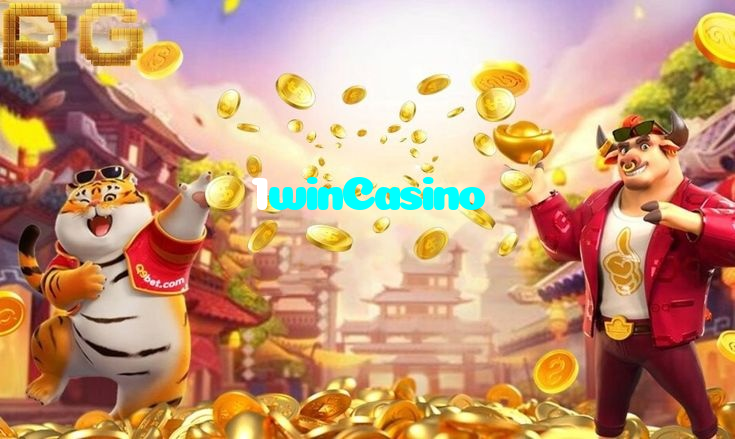 available types of 1winCasino bet including pre-match live express and system bets